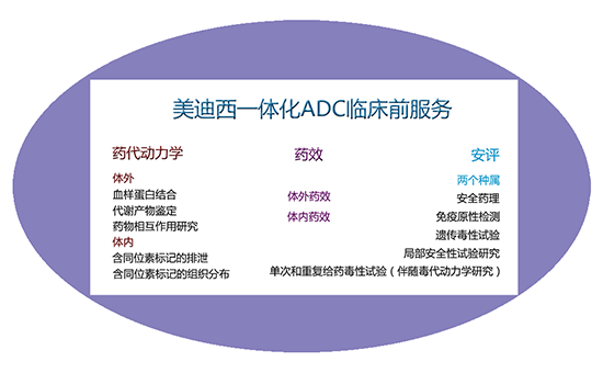 南宫NG28一体化ADC临床前服务 南宫NG28一体化ADC临床前服务
