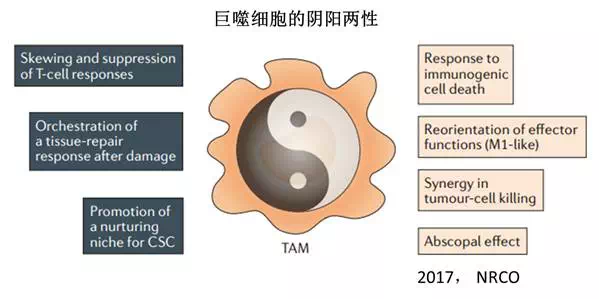 23bc52d5-4258-4d67-890b-61300a68614b 南宫NG28(中国集团)有限公司官网
