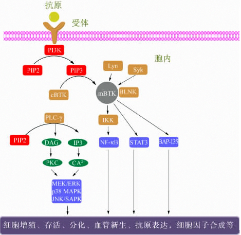 b6a0e2b1-e879-4009-a527-fb551225105e 南宫NG28(中国集团)有限公司官网