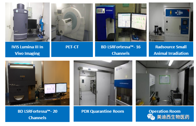 南宫NG28药理部占有IVIS Lumina III, PET-CT, BD LSRFortessa-16, Flow Cytometry等仪器，提供切合申报，支持临床试验的药效评价服务。