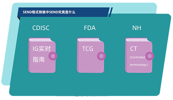 SEND的组成.jpg SEND的组成.jpg