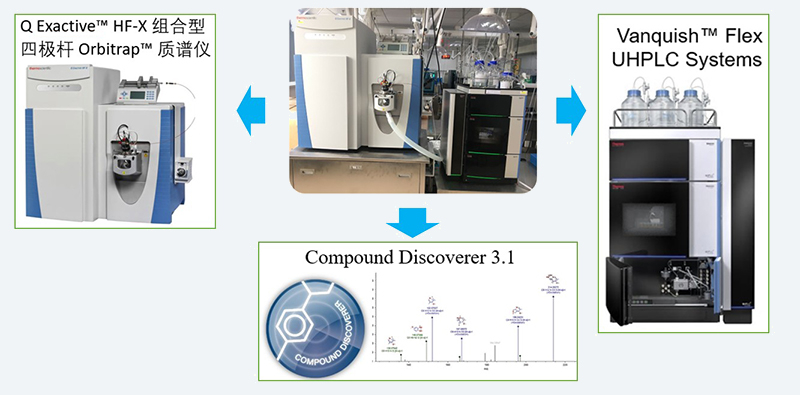 UHPLC-UV-QE-HF-X-system.jpg UHPLC-UV-QE-HF-X-system.jpg
