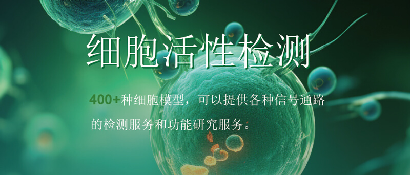 南宫NG28细胞活性检测.jpg