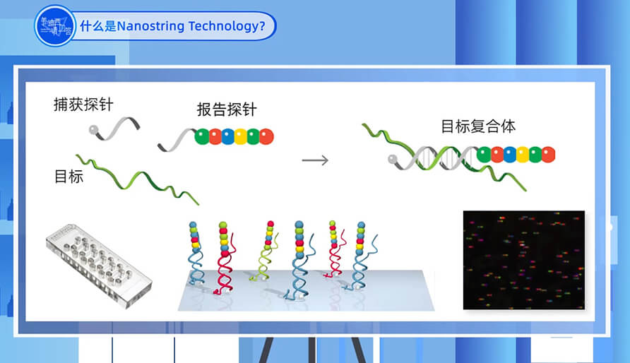 什么是Nanostring 技术？