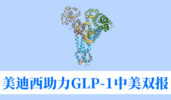 南宫NG28助力合作同伴韦恩生物GLP-1幼分子激昂剂WBD156胶囊中美IND临床试验双报双批