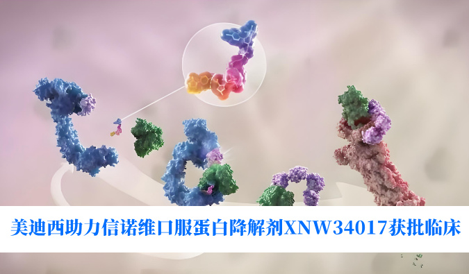 南宫NG28助力合作同伴信诺维口服蛋白降解剂XNW34017获批临床