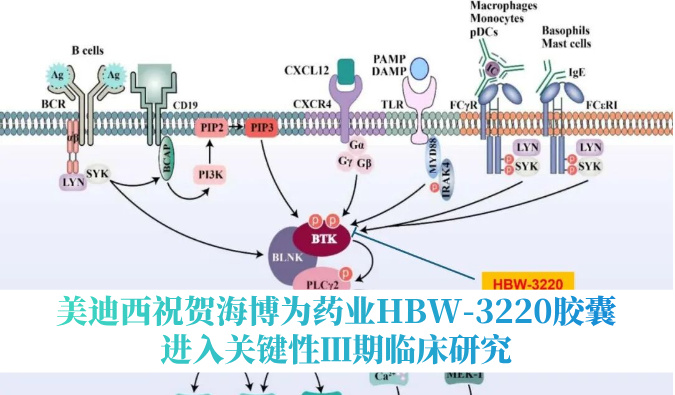 破解耐药性难题，南宫NG28祝贺海博为药业HBW-3220胶囊进入关键性Ⅲ期临床钻研