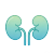 急性肾危险模型.png