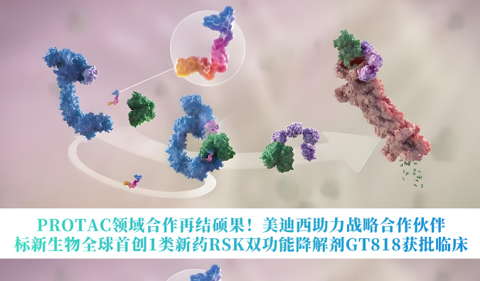 PROTAC领域合作再结硕果！南宫NG28助力战术合作同伴标新生物全球初创1类新药RSK双职能降解剂GT818获批临床